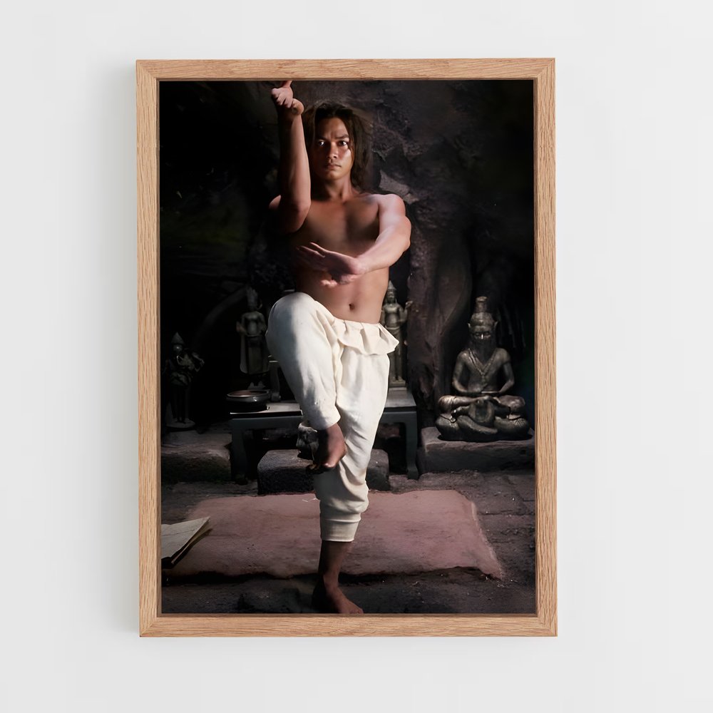 Poster Tony de jaa – affiche Kung Fu (vue 4)